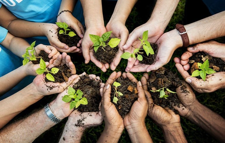 Celebrating Arbor Day: The Importance of Tree Planting